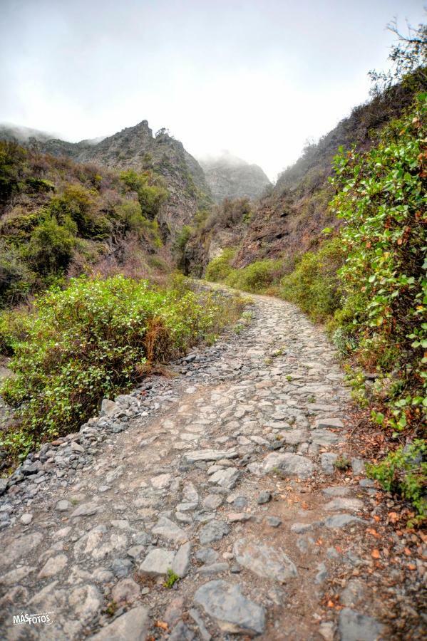 Naturaleza Viva El Socorro Zewnętrze zdjęcie