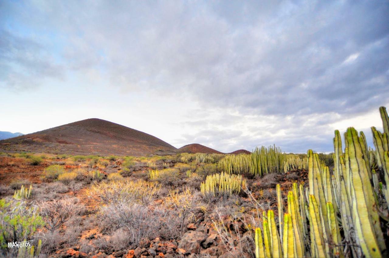 Naturaleza Viva El Socorro Zewnętrze zdjęcie
