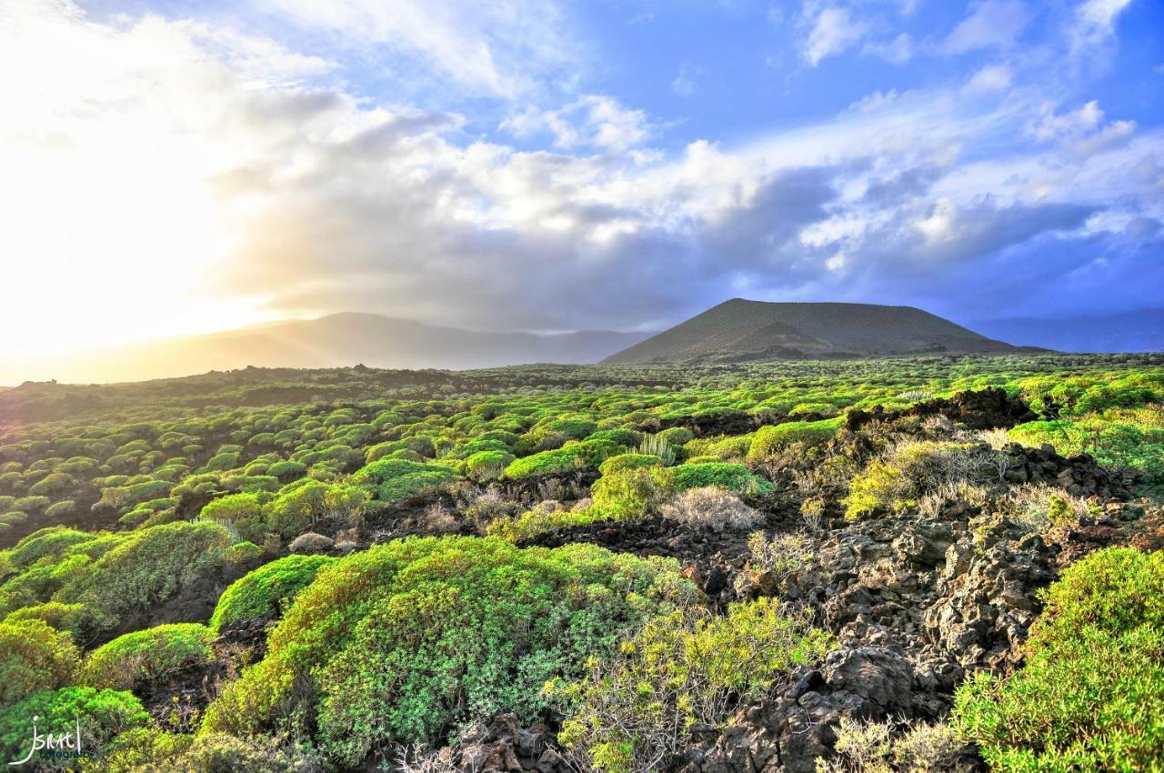 Naturaleza Viva El Socorro Zewnętrze zdjęcie